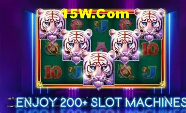 VIP Bronze Benefits